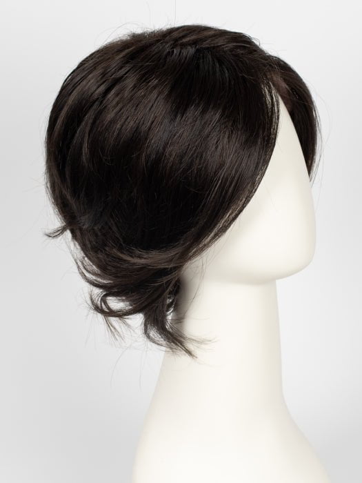 Sheer Elegance | Synthetic Lace Front Wig (Basic Cap)