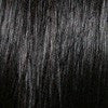 Dante | Synthetic Wig (Basic Cap) | DISCONTINUED