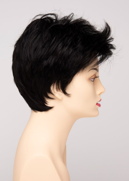 Raven | Synthetic Lace Front Wig (Basic Cap)