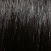 Dante | Synthetic Wig (Basic Cap) | DISCONTINUED