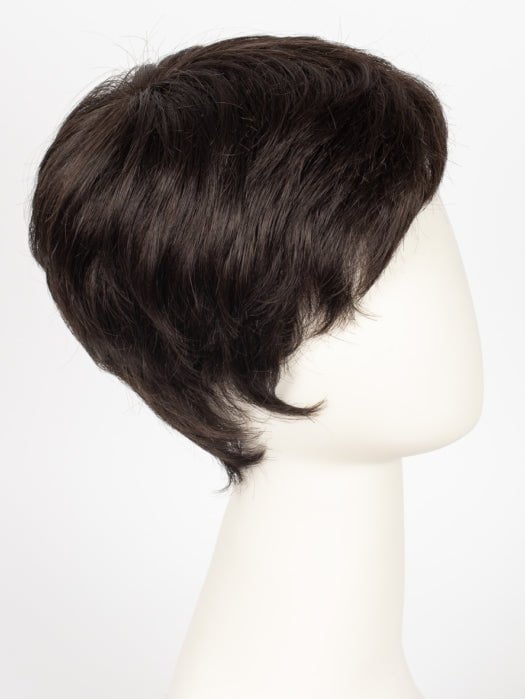 Risk | Synthetic Lace Front Wig (Mono Crown)