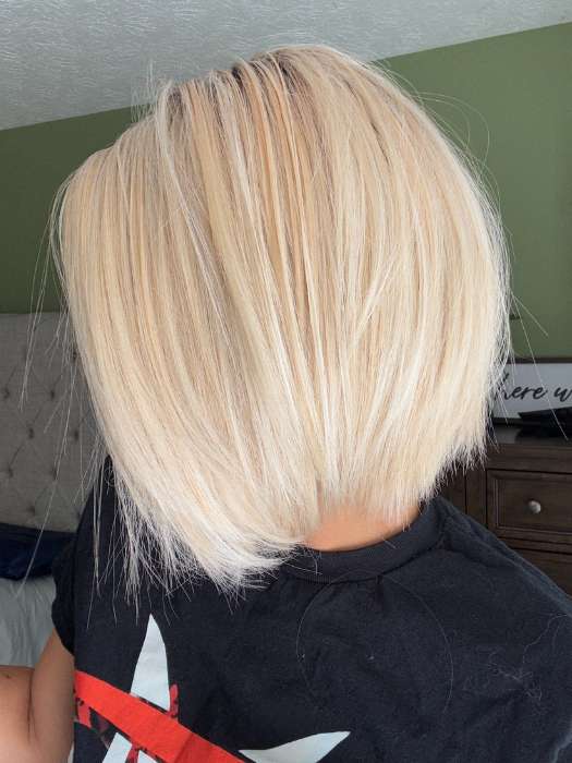 Euro Chic | Synthetic Lace Front Wig (Mono Top)